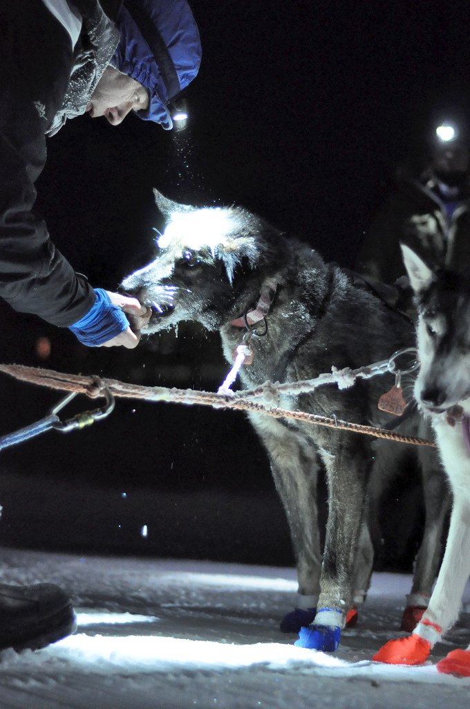 Espen-Bech-femunlopet-husky-robert-sorlie-03