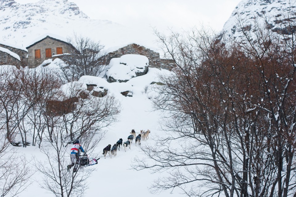 Lgo-grande-odyssee-travadon-pontier-vondrak-husky-dimanche-20-9234presse