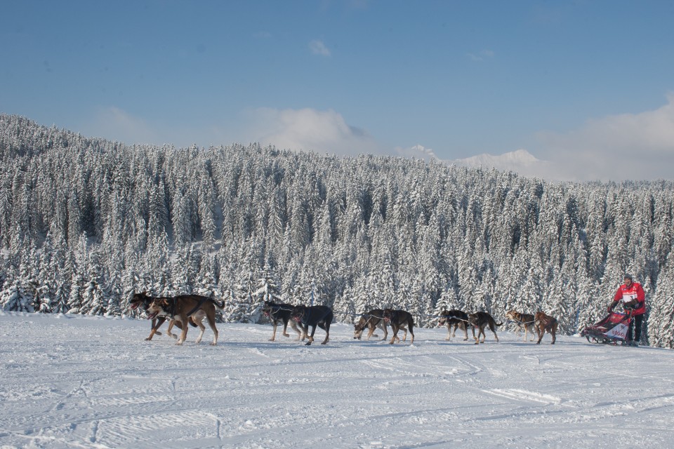 Lgo-grande-odyssee-travadon-pontier-vondrak-husky-jeudi-17-7930presse