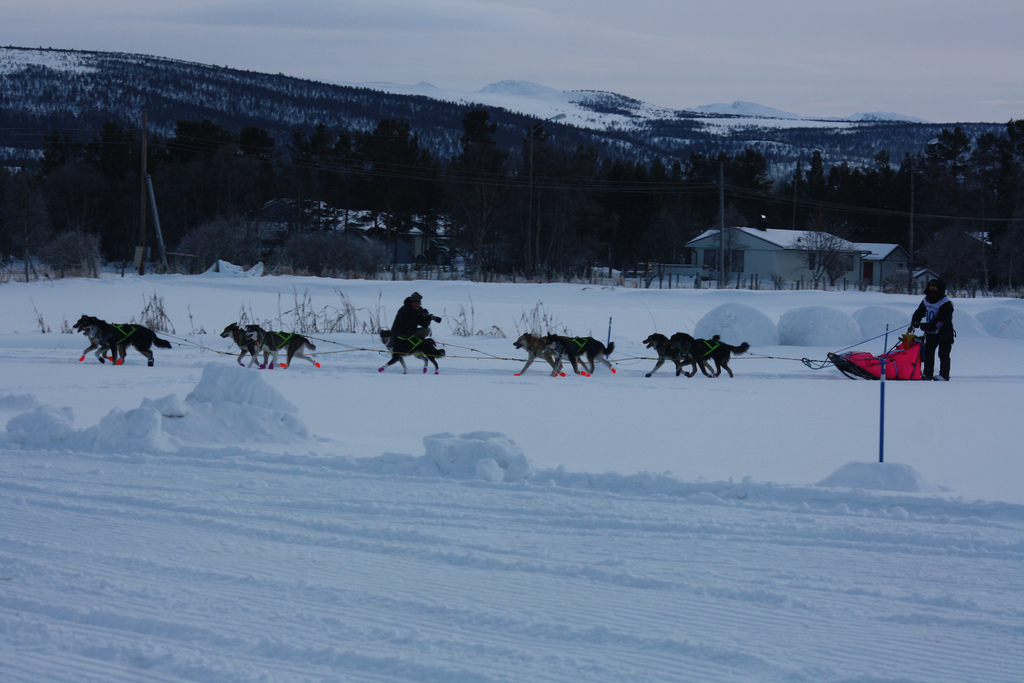 elisabeth-edland-femunlopet-husky-robert-sorlie-06