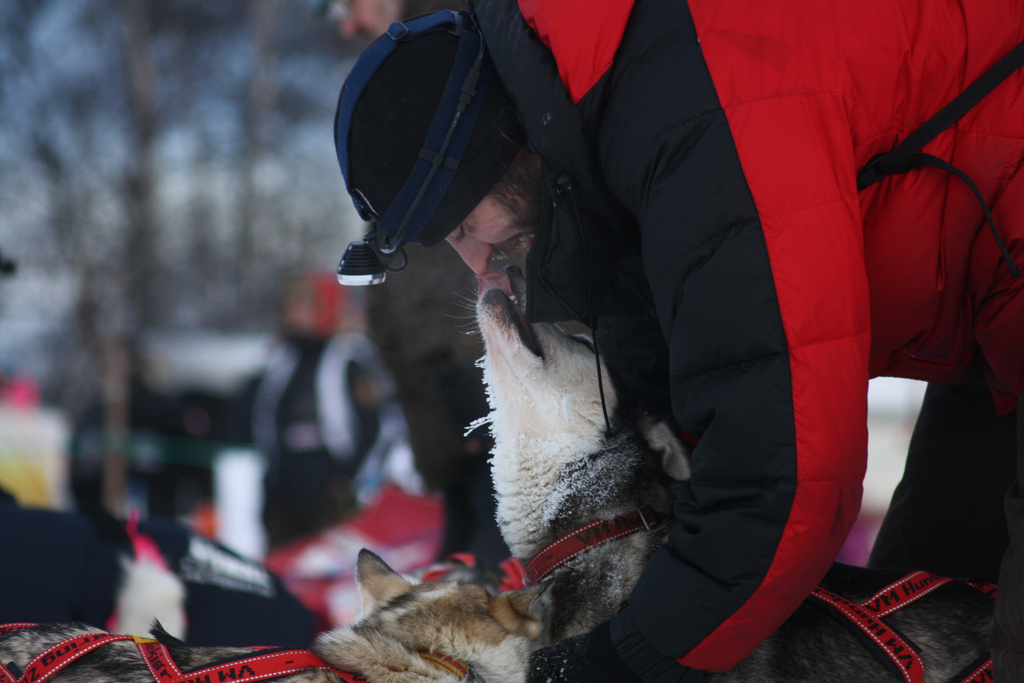 elisabeth-edland-femunlopet-husky-robert-sorlie-07