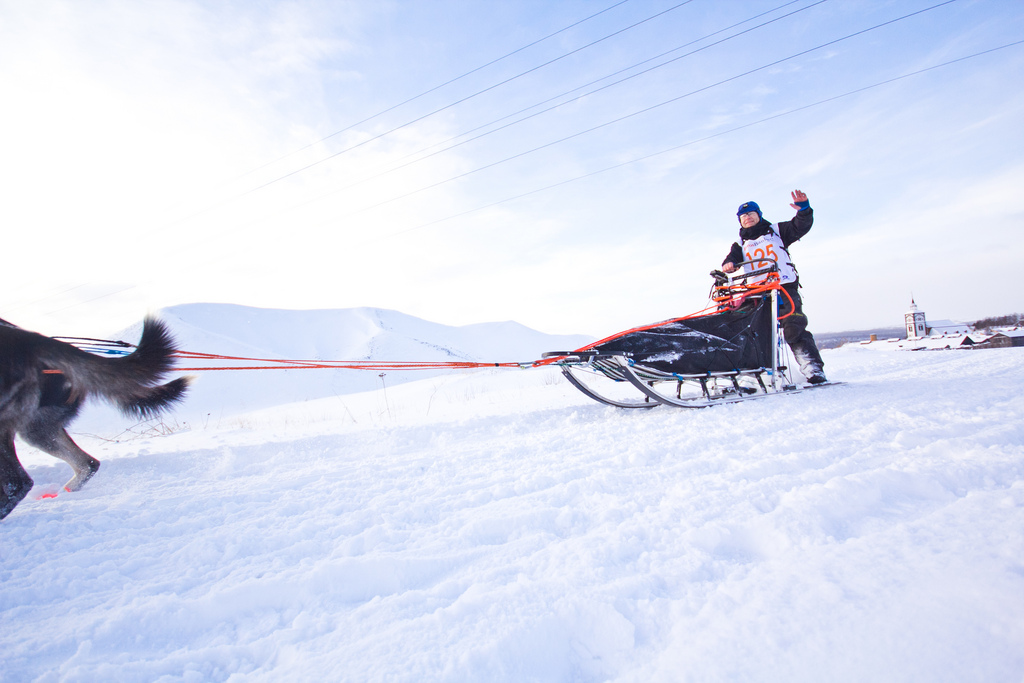 emil-inauen-femundlopet-husky-alaskan 01