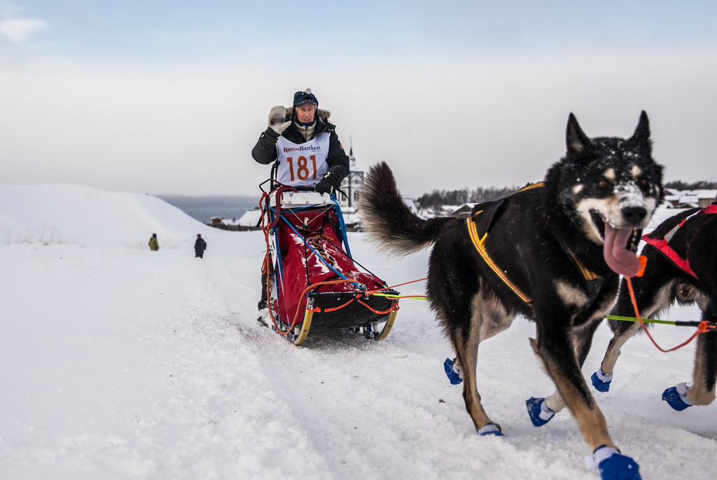 emil-inauen-femundlopet-husky-alaskan 04