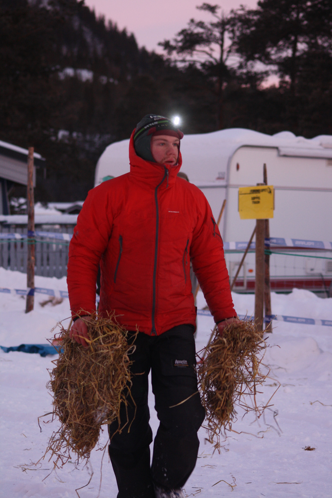 emil-inauen-robert-sorlie-femundlopet-husky-alaskan 01