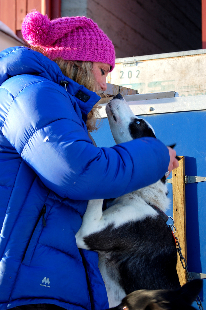 emil-inauen-robert-sorlie-femundlopet-husky-alaskan 07