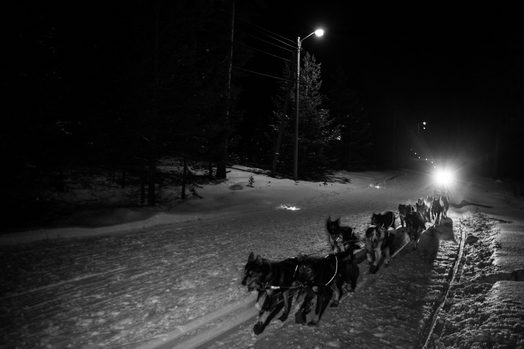 robert-sorlie-femundlopet-husky-alaskan 02