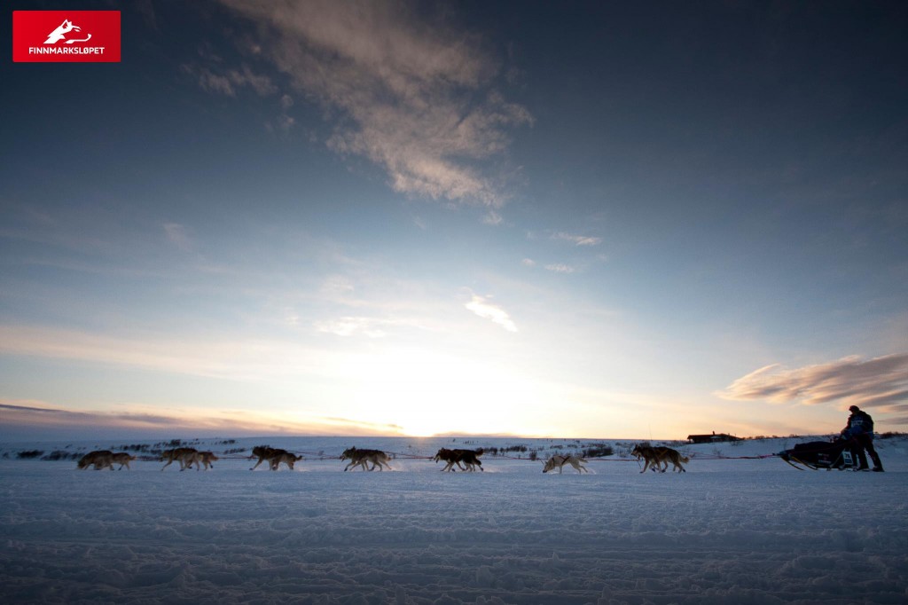 finnmarkslopet,2013,pontier