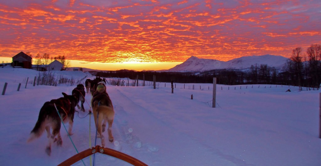 finnmarkslopet,2013,pontier,juillaguet,husky