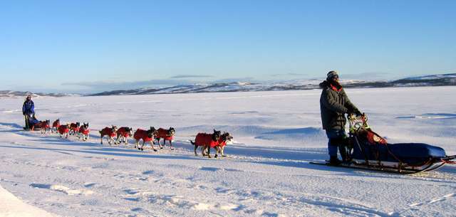 benoit,gerard,nome,norvege,femmundlopet,finnmarkslopet,norvege