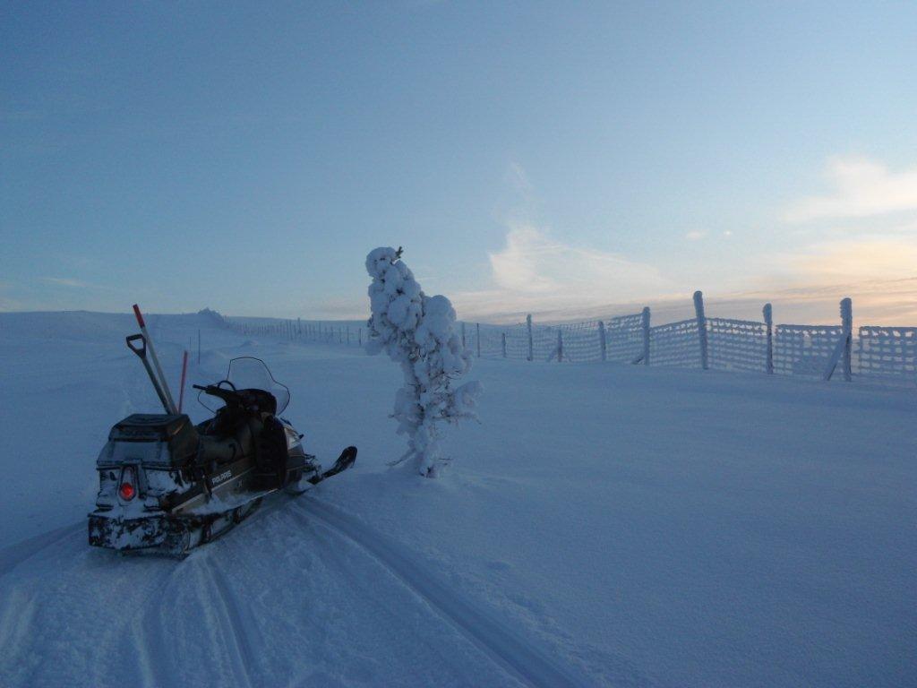 finnmarkslopet-2013-musher-husky-handleur-pagnoux-dupe-pontier-06