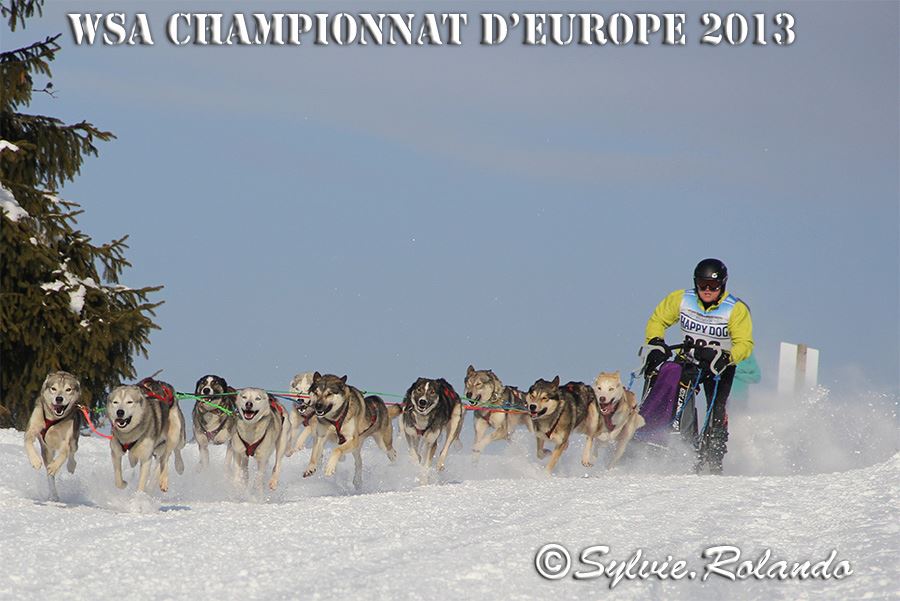 romain-logeais-course-husky-champion-patrick-musher-handler-04