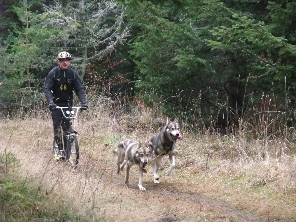 eric,fievet,france,mushing,husky,01