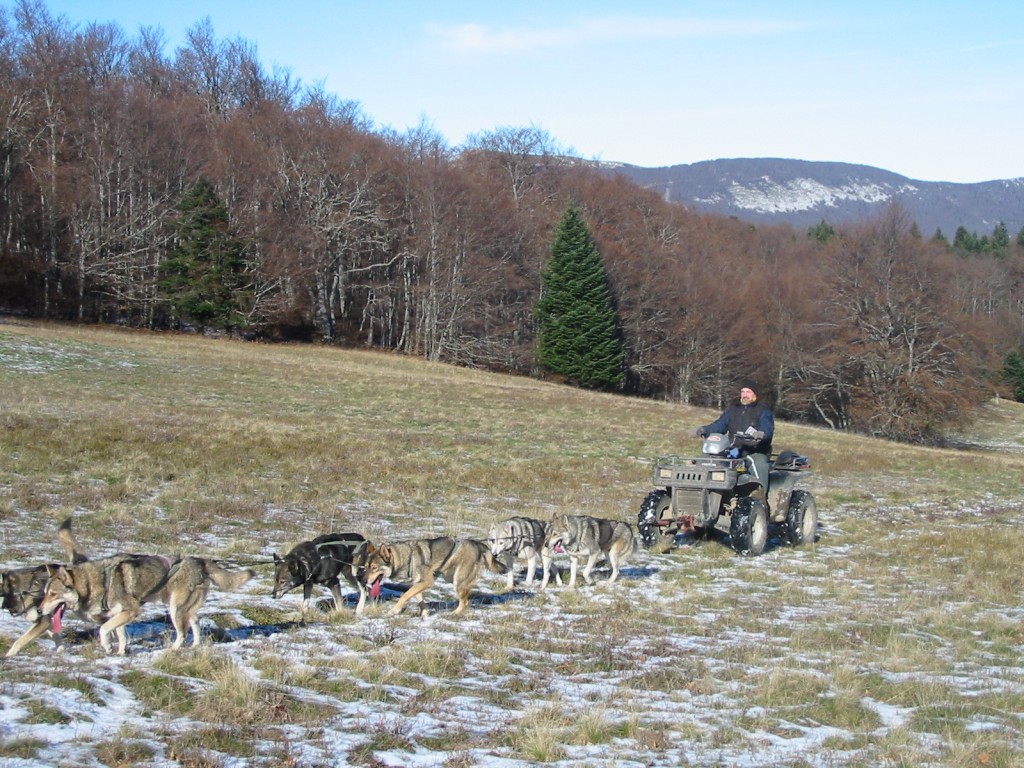 eric,fievet,france,mushing,husky,02