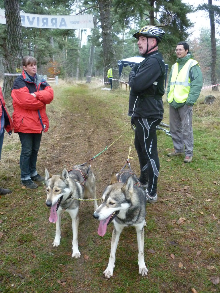 eric,fievet,france,mushing,husky,05