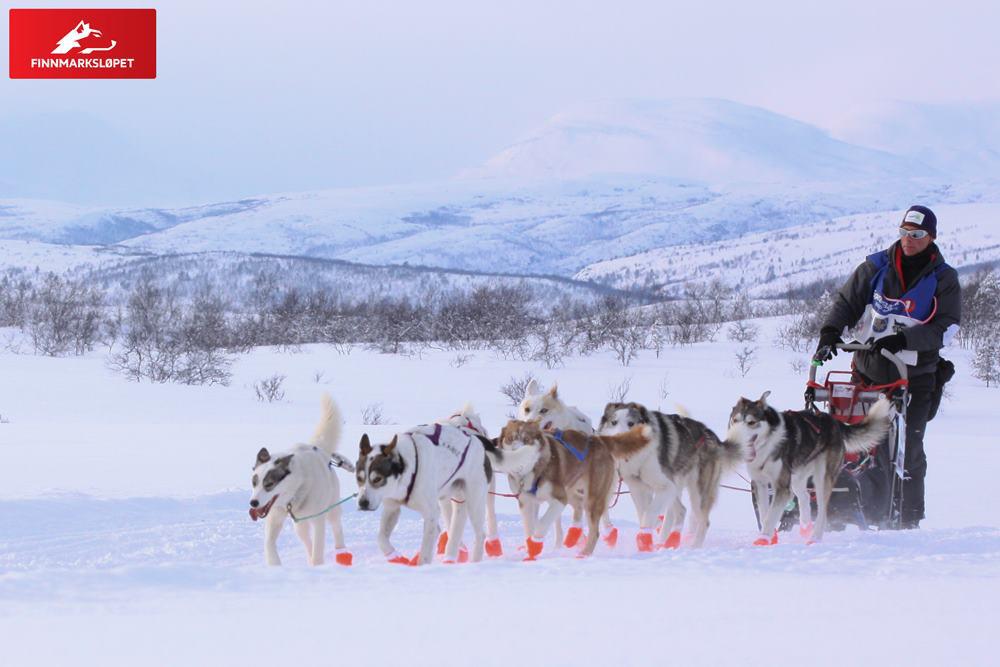 alaskan,team,francois,pagnoux,finnmark,finnmarkslopet,husky,lgo,grande,odyssee,mavas