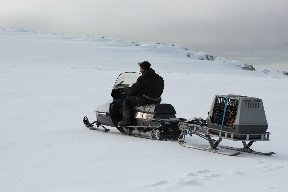 musher,pro,mathieu,lamblin,formation,diplome,husky,mushing,03