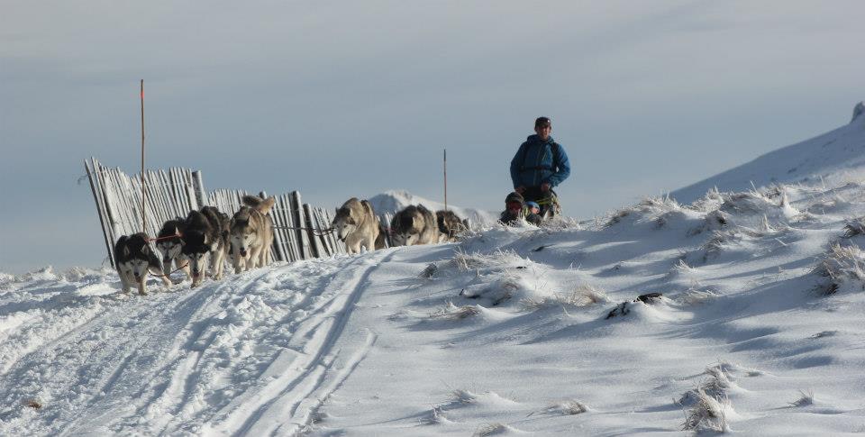 musher,pro,mathieu,lamblin,formation,diplome,husky,mushing,04