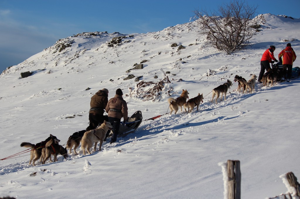 musher,pro,mathieu,lamblin,formation,diplome,husky,mushing,05