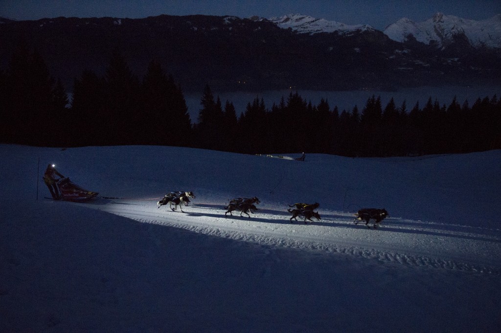 handleur,lgo,grande,odyssée,musher,husky,nuit