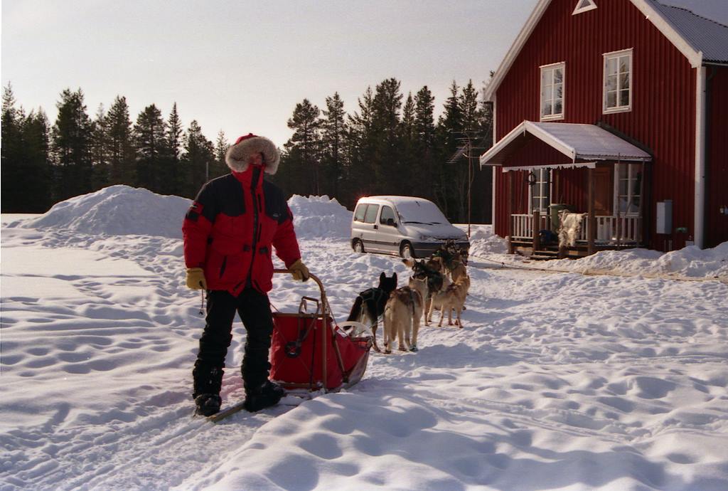 serge,metier,husky,alaskan,yukon,iditarod,video,internet,mushing,fontaine,mathis,catherine,04