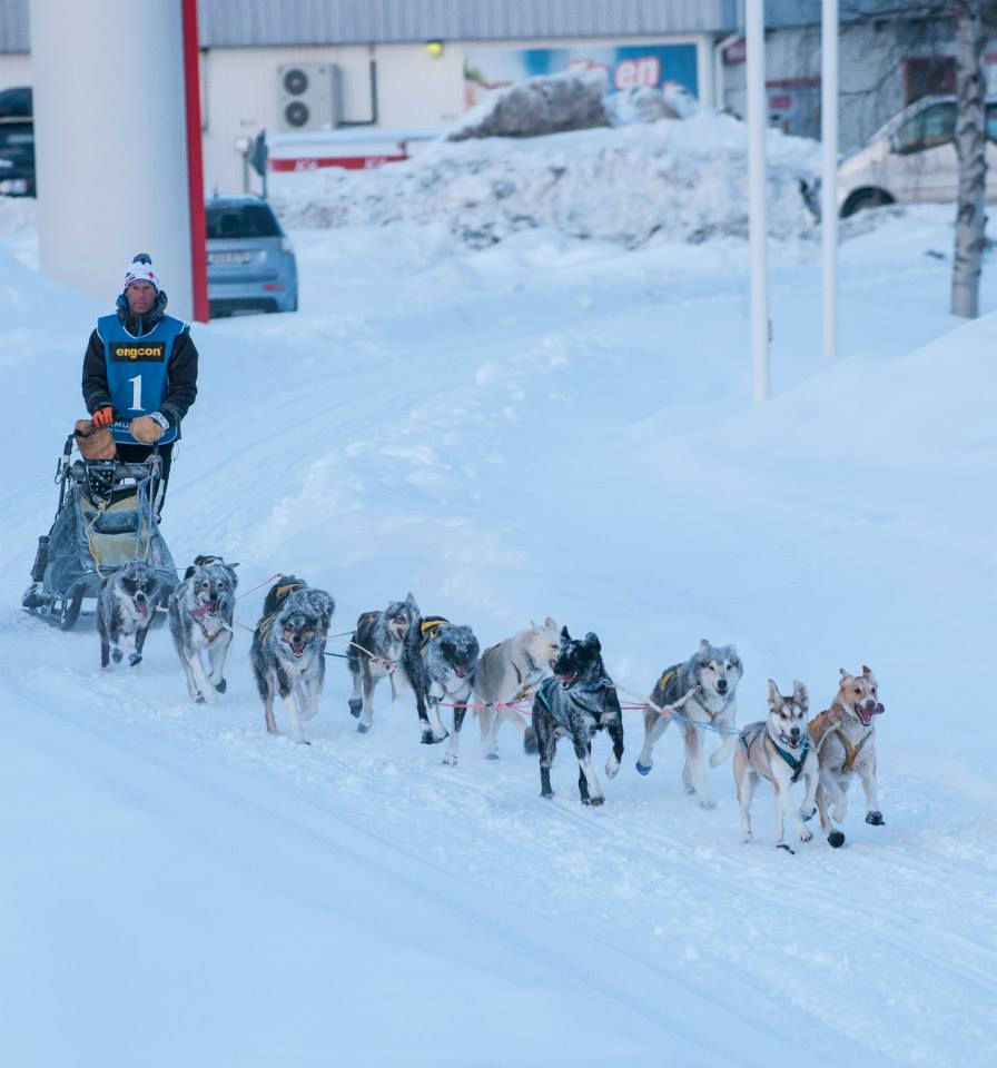 Daniel,juillaguet,musher,mushing,husky,alaskan,chien,lgo,amundsen,odysée,03