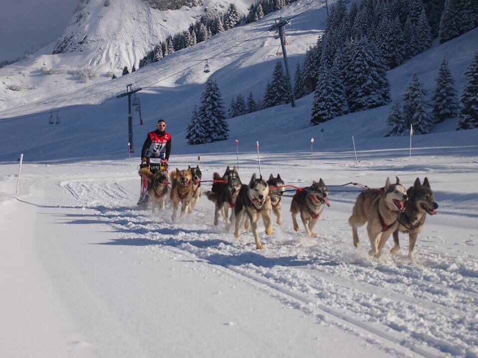 greg,coffre,musher,husky,odyssé,lgo,mushing,06